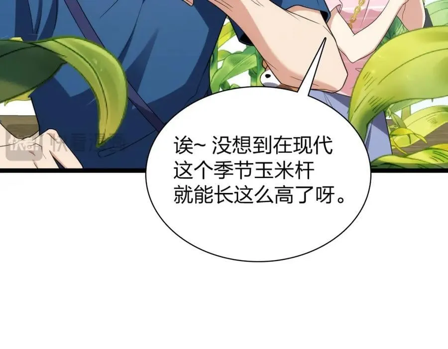 206 第40页