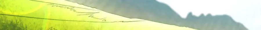 206 第50页