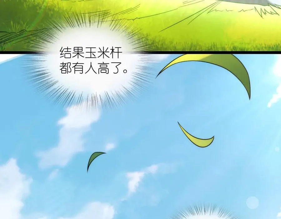 206 第51页