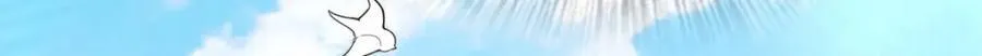 206 第79页
