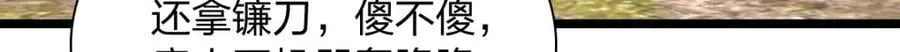 206 第85页