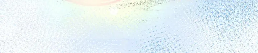 207 第162页