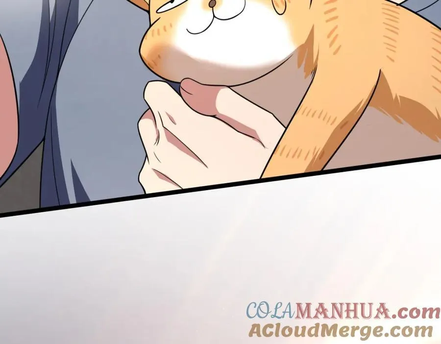 207 第169页