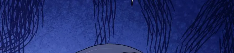 209 第11页