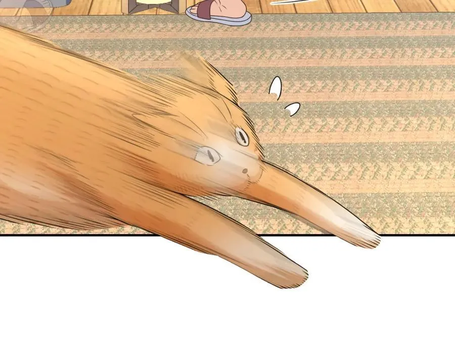 209 第27页