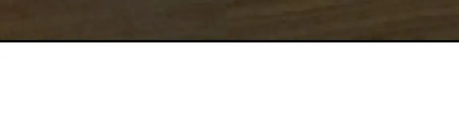 209 第95页