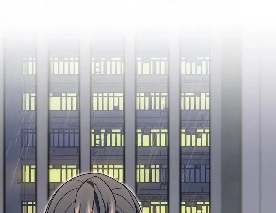 213 第100页
