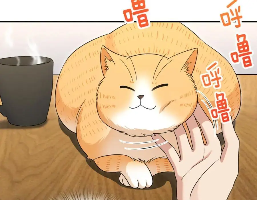 213 第119页