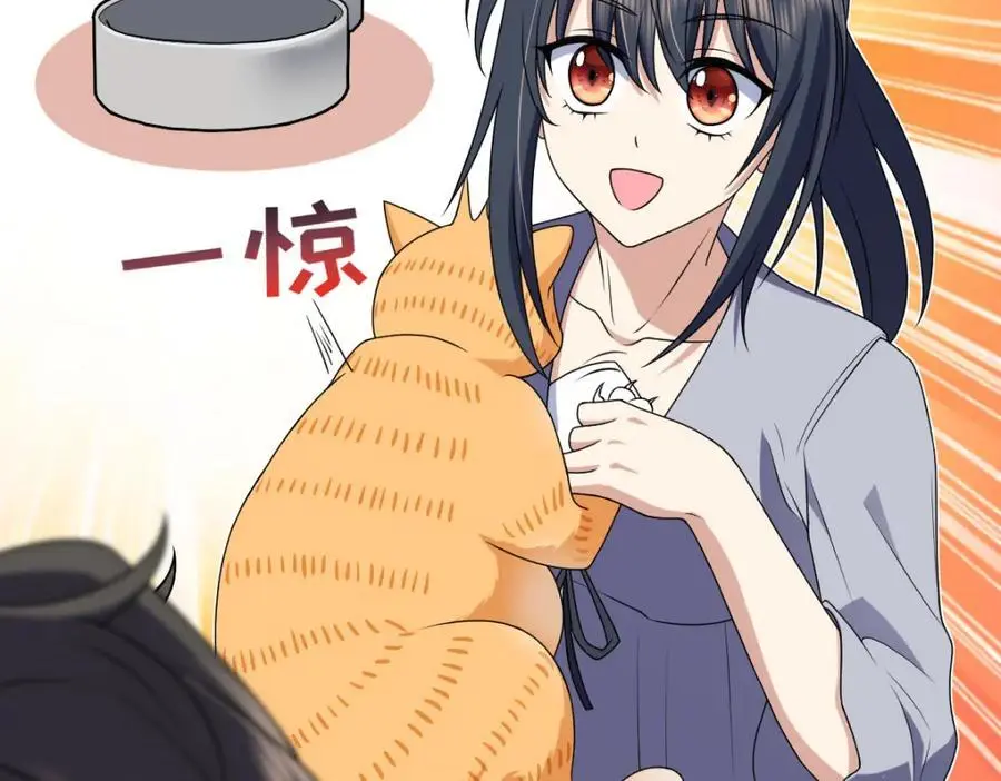 213 第146页
