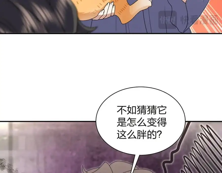 213 第147页