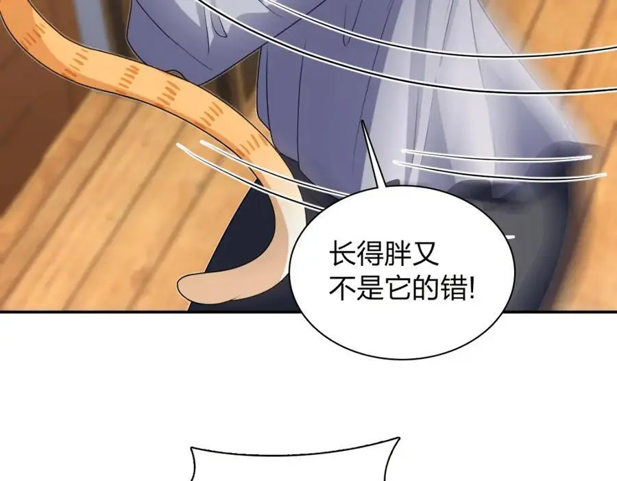 213 第155页
