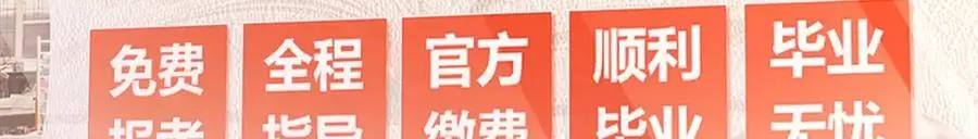 216 第35页