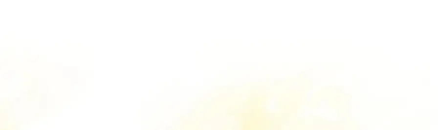 216 第71页