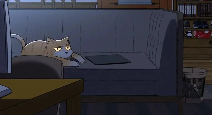 217 第132页