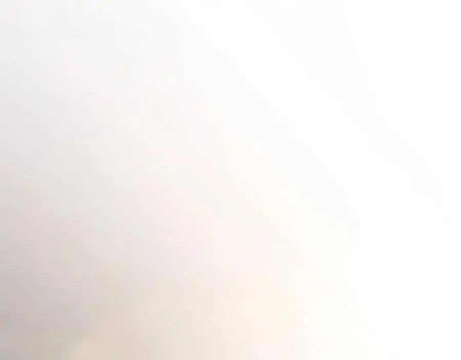 220 第43页