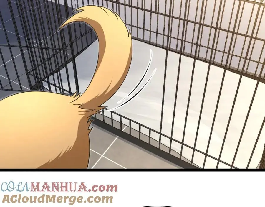 221 第9页
