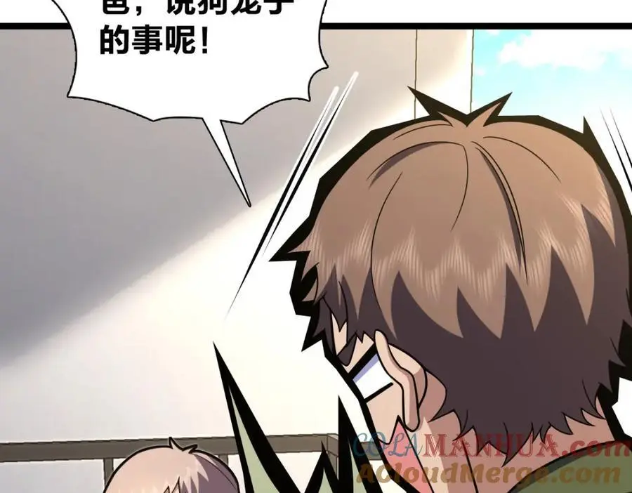 221 第13页