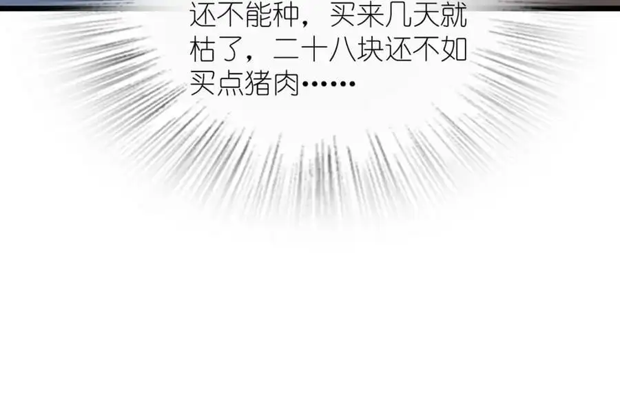 223 第100页