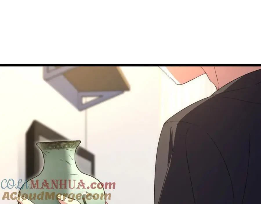 223 第117页