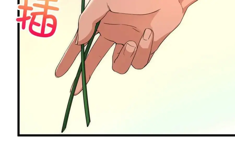 223 第120页