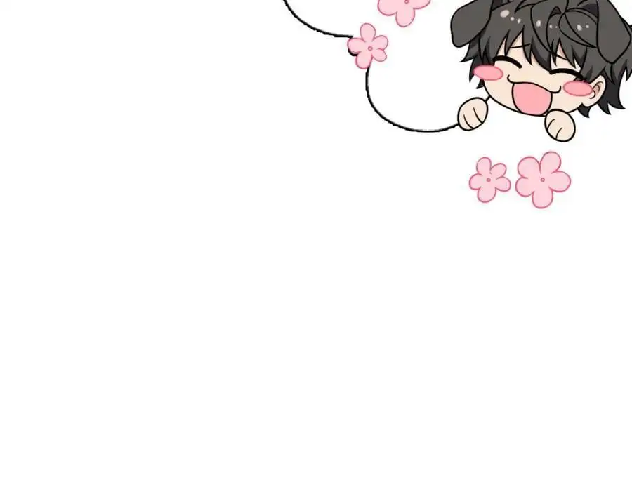 224 第16页