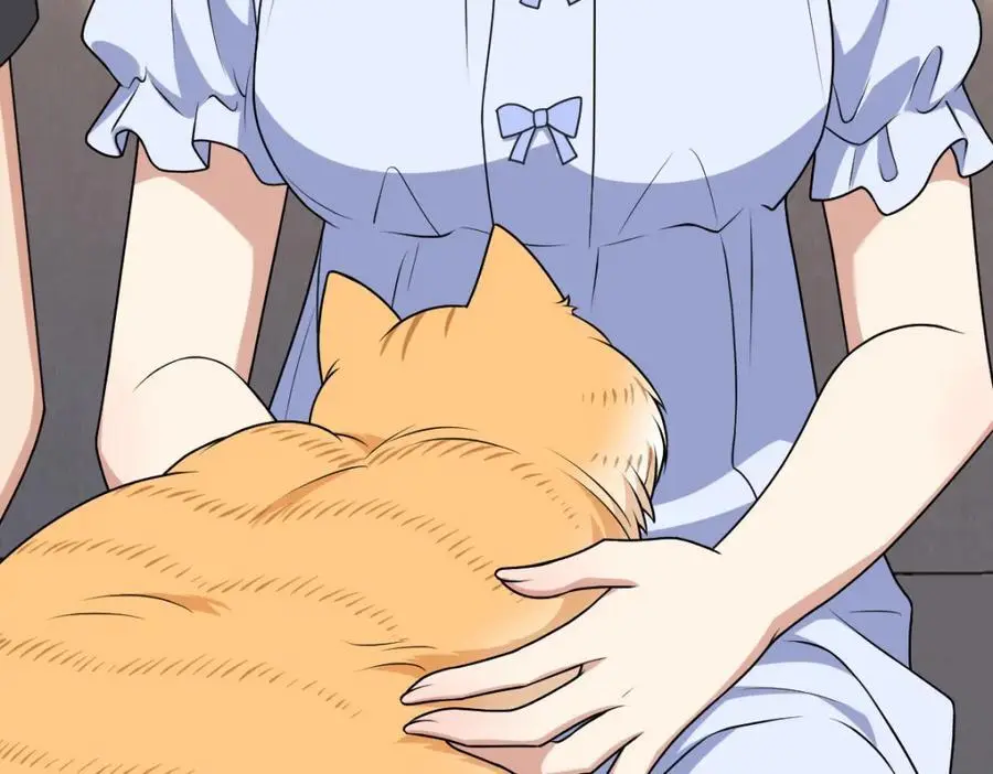 224 第114页