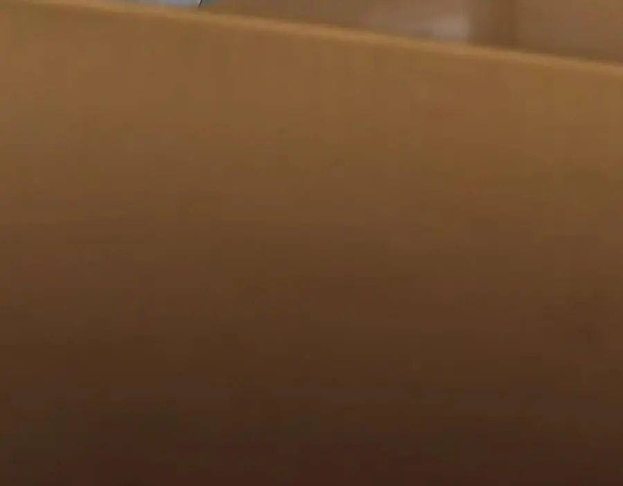227 第43页