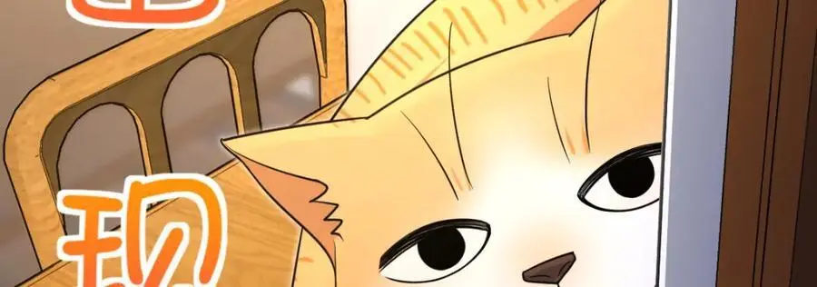 228 第103页