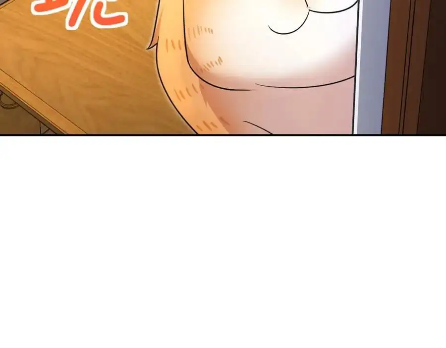 228 第104页