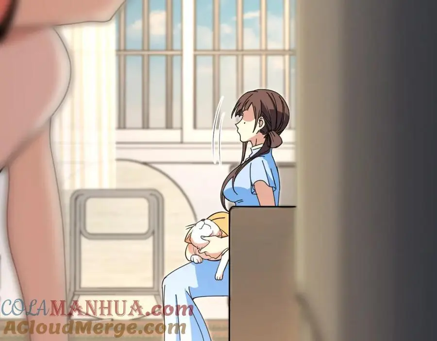 228 第117页