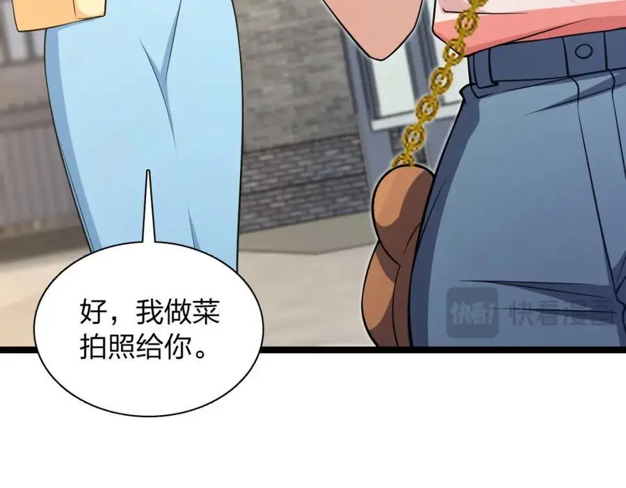229 第42页