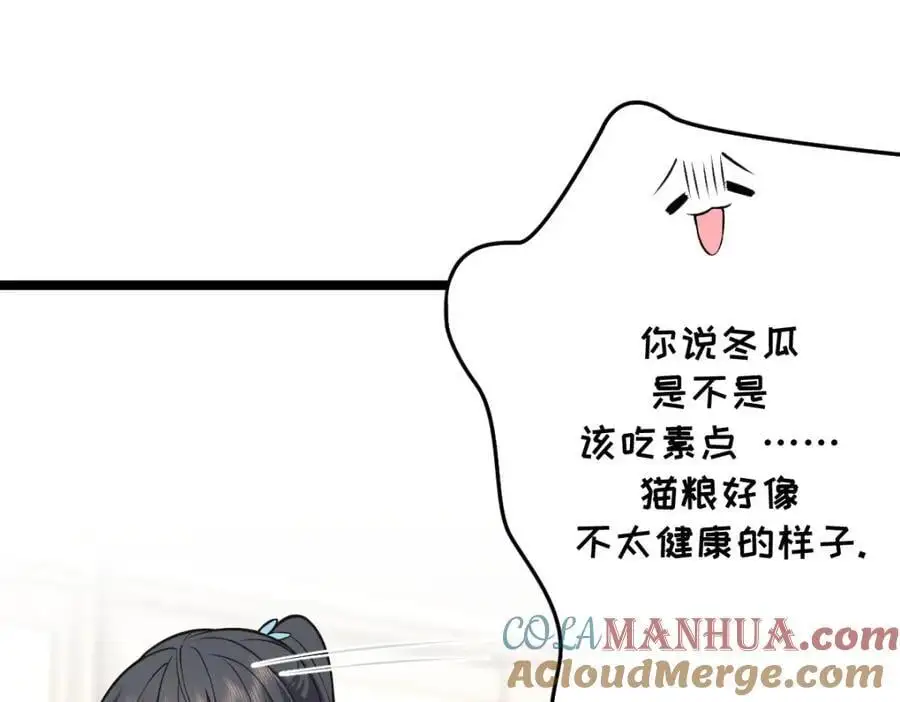 229 第49页