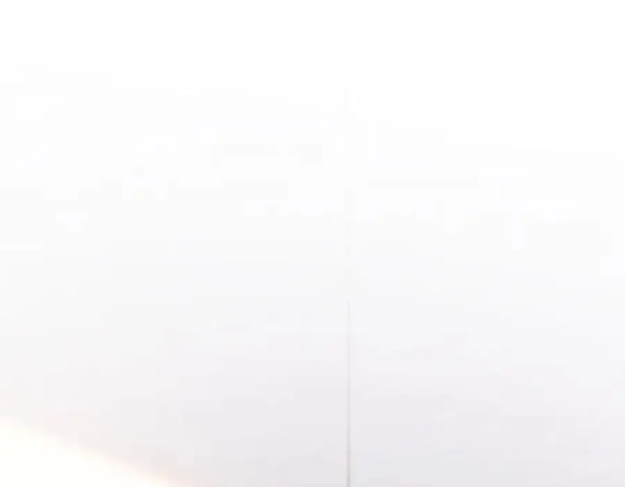 230 第31页