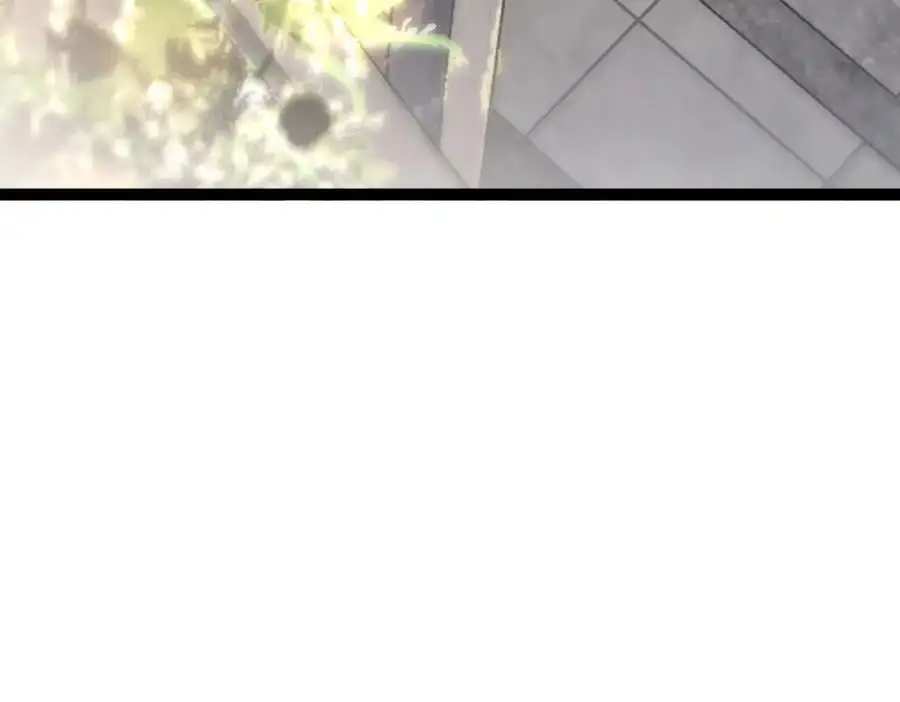 233 第42页