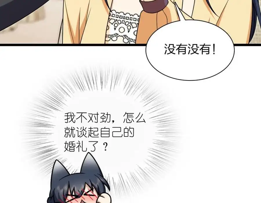 233 第71页