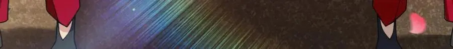 233 第116页