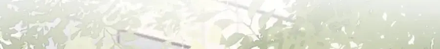 236 第53页