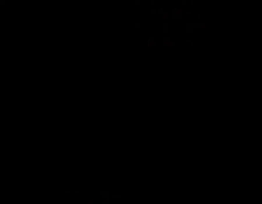 237 第171页