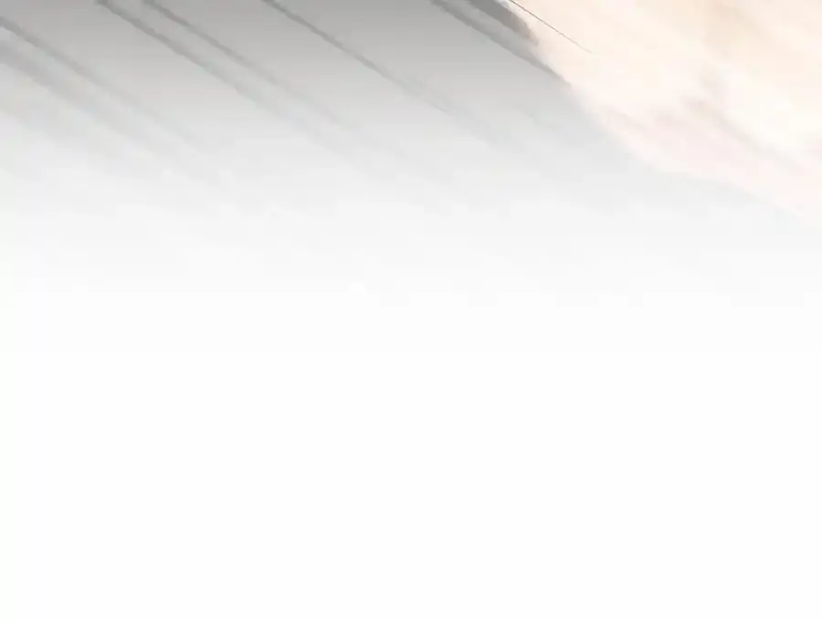 238 第16页