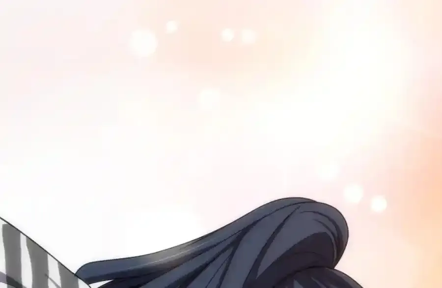 238 第19页