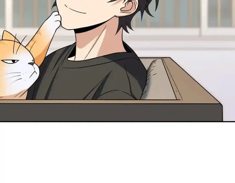238 第84页