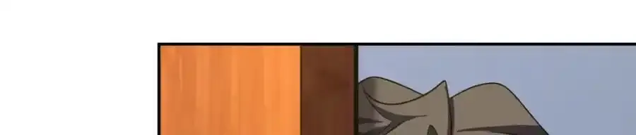 238 第115页