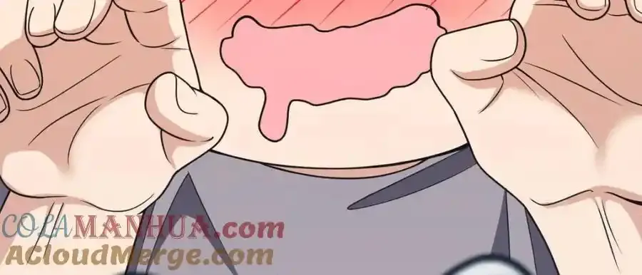 238 第133页