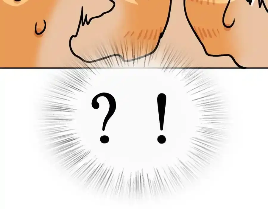 238 第144页