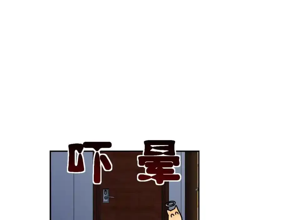 238 第146页
