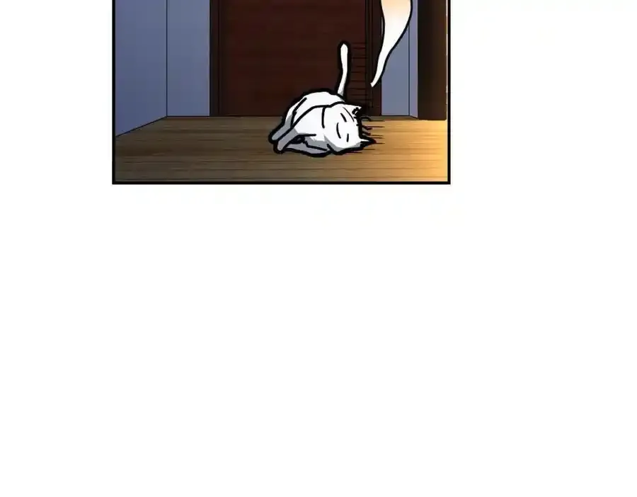 238 第147页