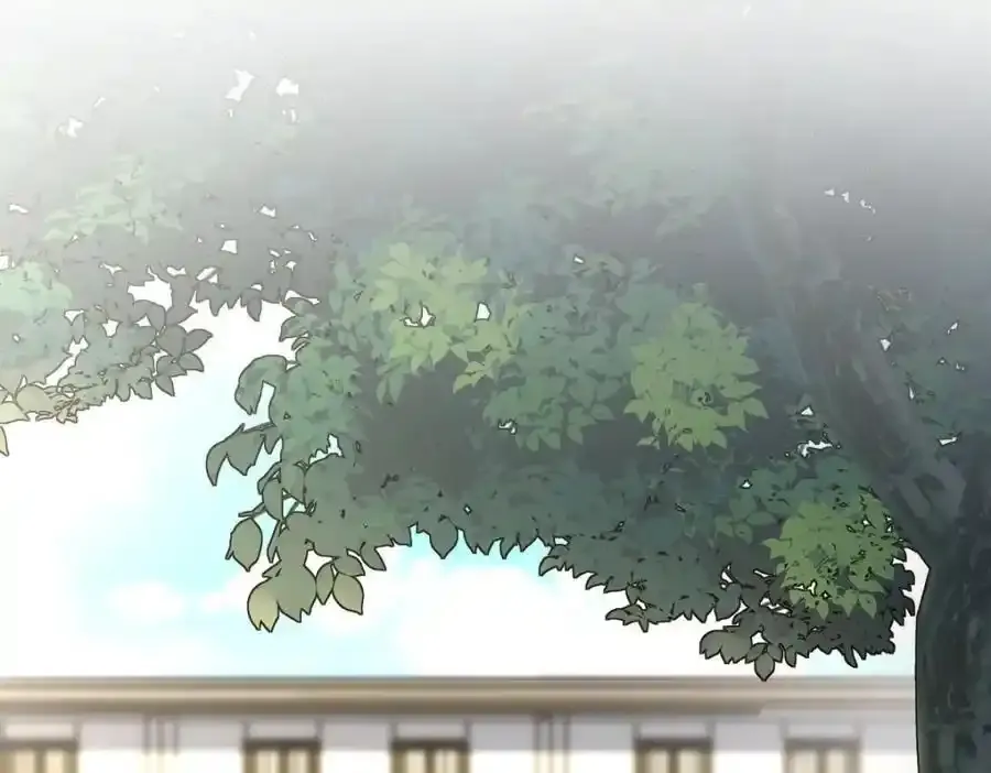 239 第111页