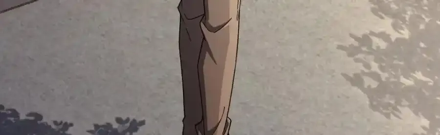 239 第146页