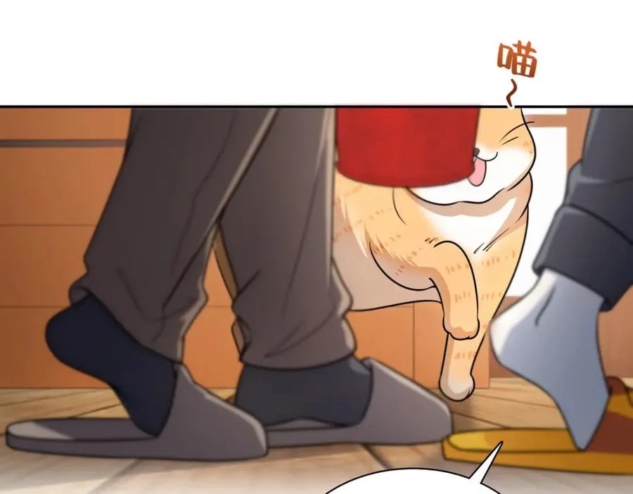 240 第82页