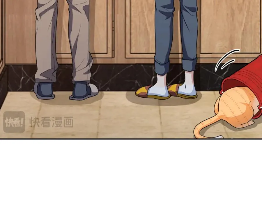 240 第118页